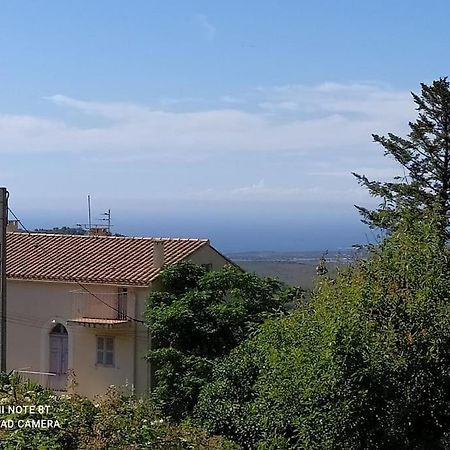 Duplex Avec Jardin, Proche Village Calenzana Bagian luar foto