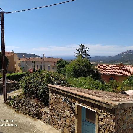 Duplex Avec Jardin, Proche Village Calenzana Bagian luar foto