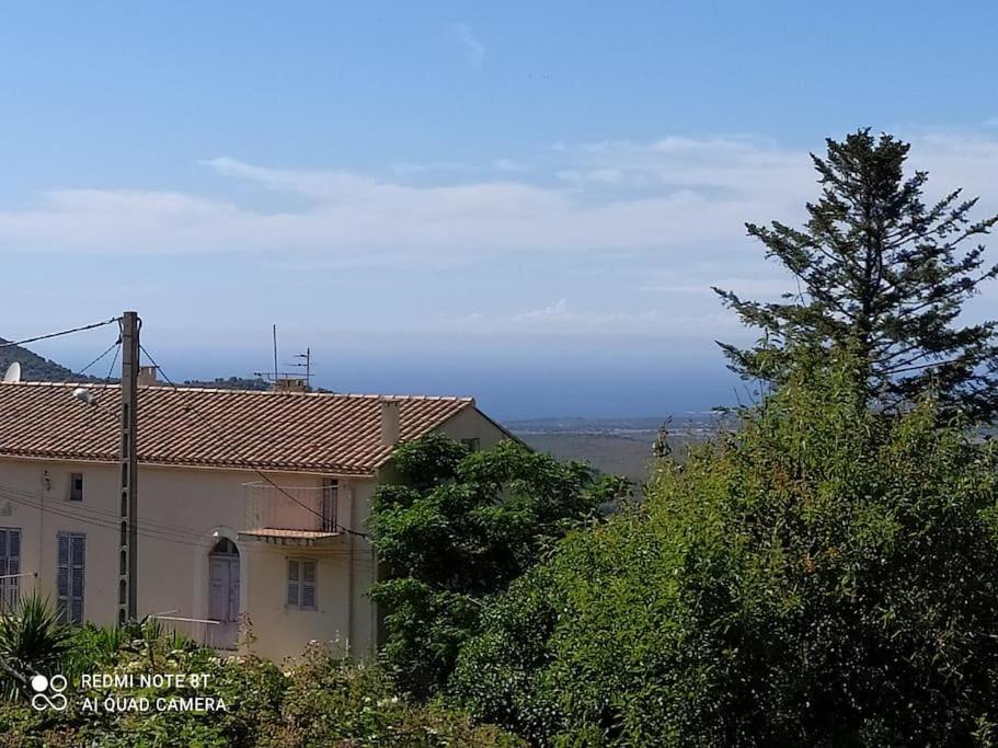 Duplex Avec Jardin, Proche Village Calenzana Bagian luar foto